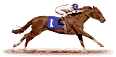 Horse Racing Animated Graphic