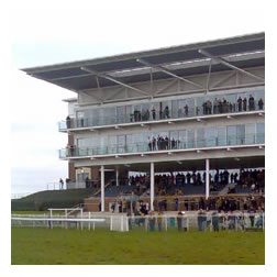 Bet Synergy Racing Grandstand Image